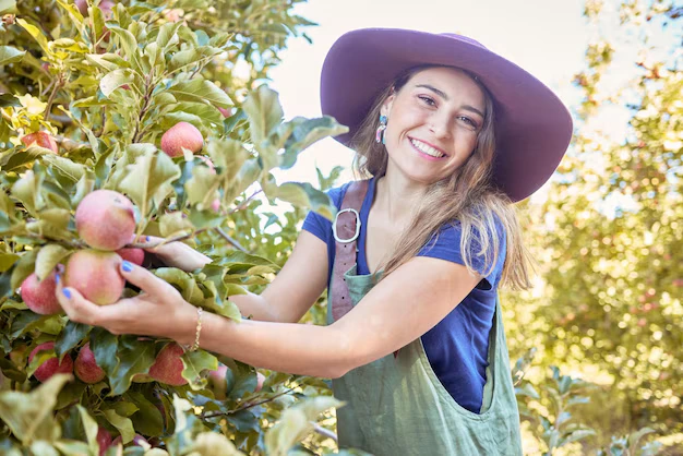 cal em árvores frutíferas