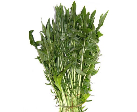catalonha