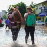 Pets resgatados no bairro Harmonia, em Canoas