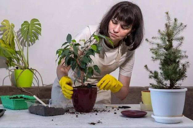 bicarbonato de sódio nas plantas