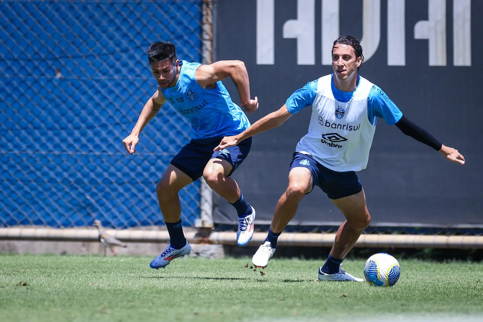 Foto: Lucas Uebel/Grêmio FBPA