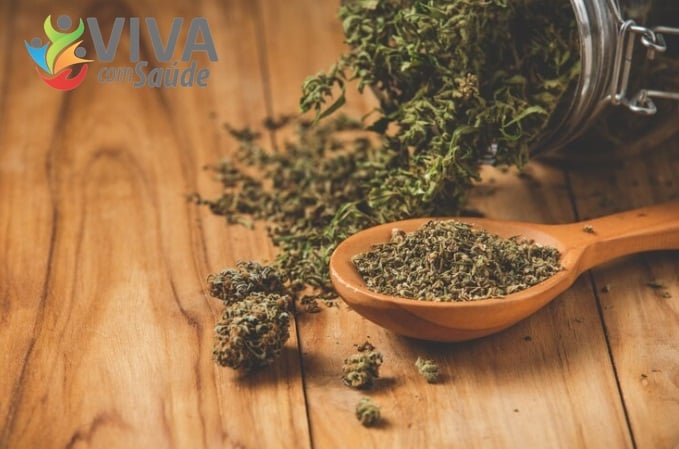 Viva com Saúde – 01/12/2025 – A língua não mente: sinais sobre sua saúde