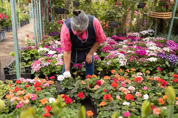 segredos para ter um jardim florido