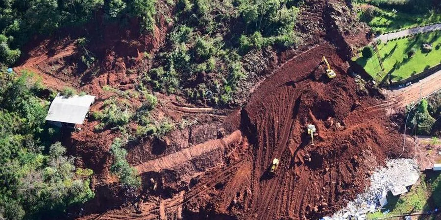 Viticultura gaúcha apresenta plano de recuperação