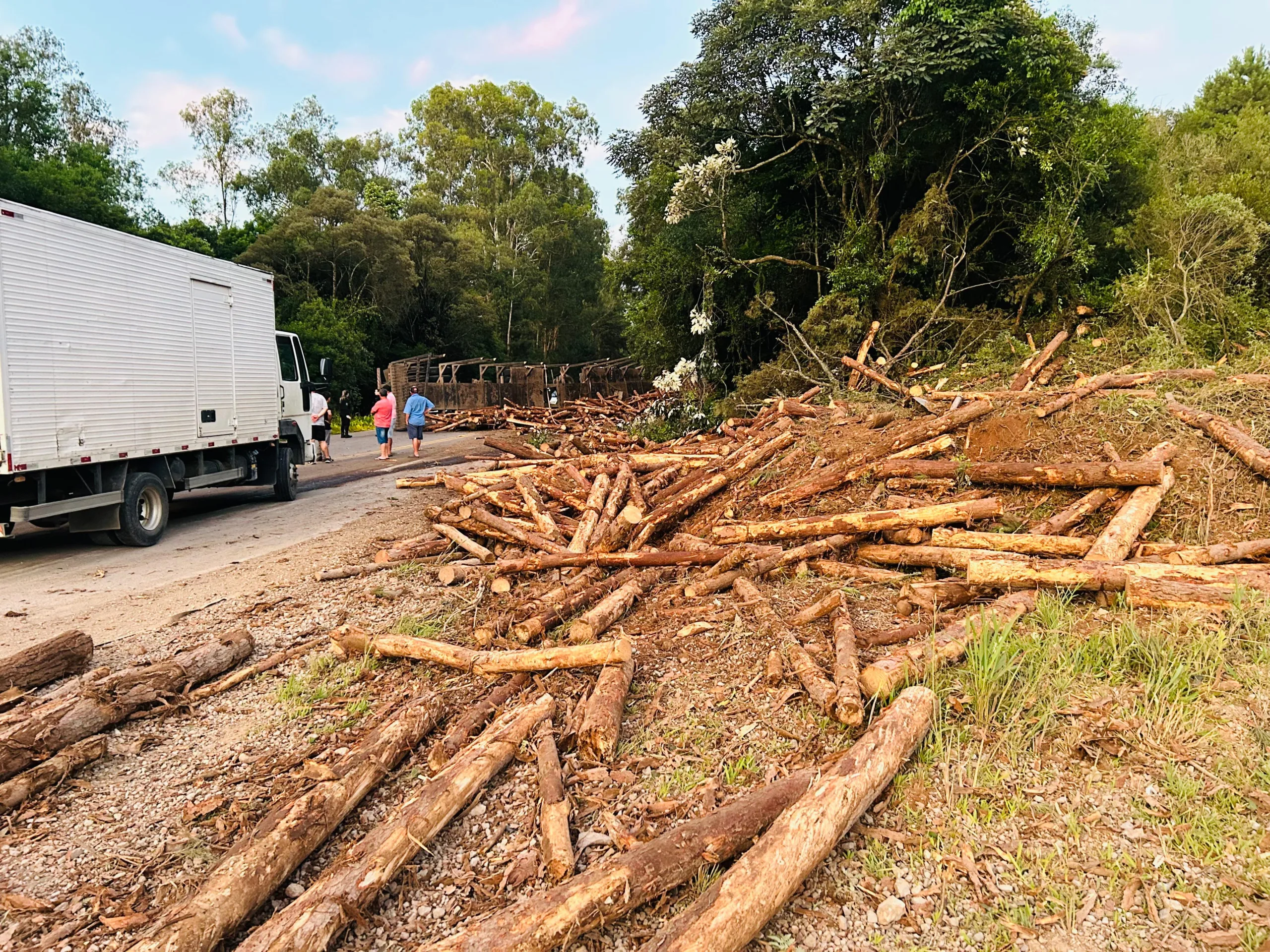 Caminhão carregado com toras tomba na Rota do Sol, em Caxias do Sul