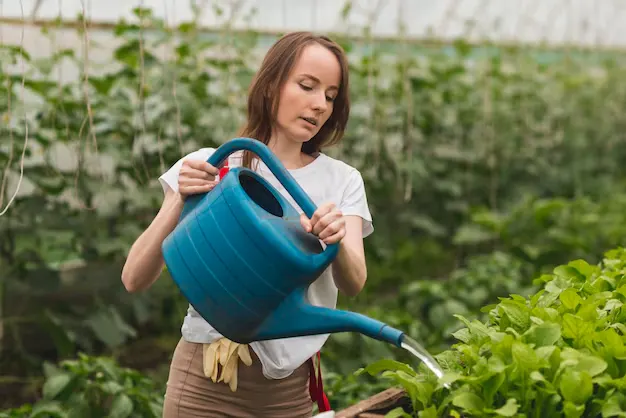 Dicas para evitar o excesso de água nas plantas - foto by Freepik 