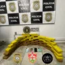 Polícia localiza 33 kg maconha em São Marcos; apreensão é a maior da história na cidade