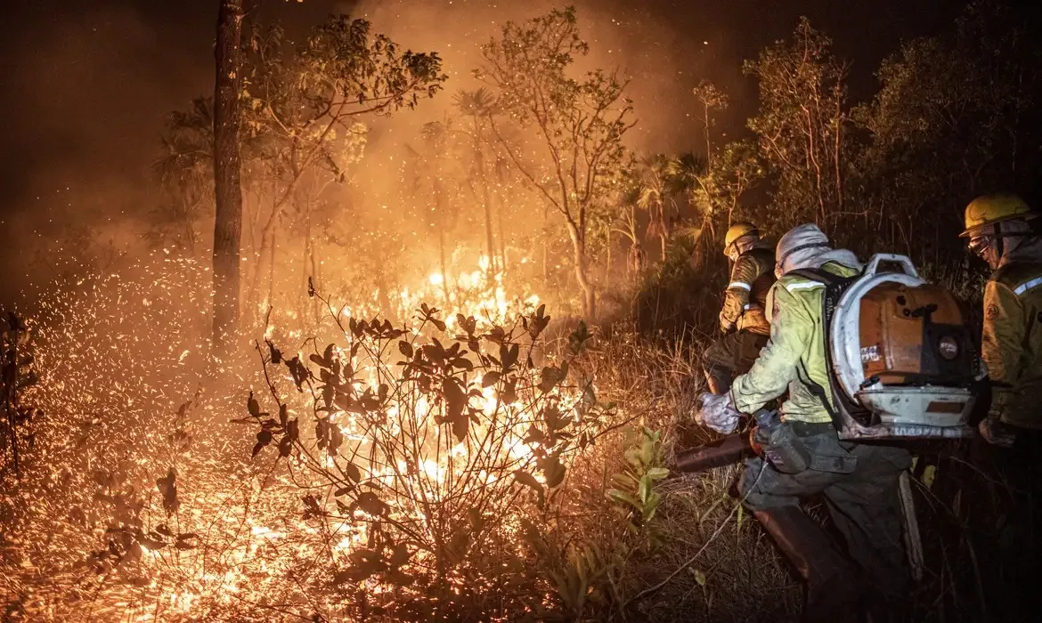 Segundo o levantamento, ao todo, foram queimados no período 29,7 milhões de hectares, um aumento de 90% em relação ao mesmo período de 2023.