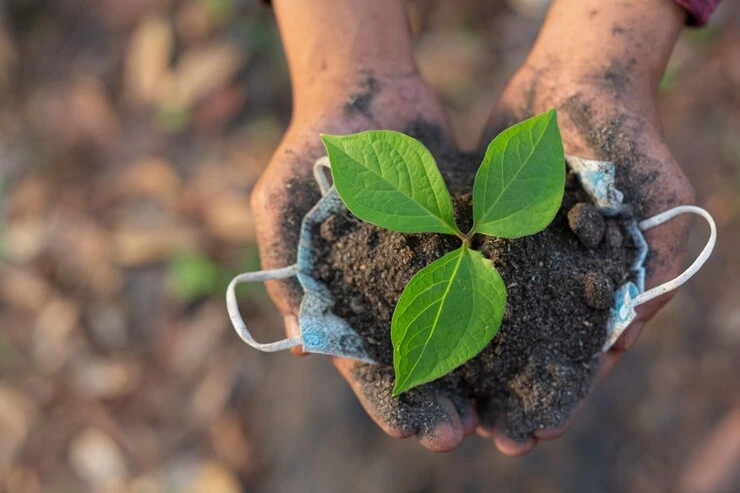 Compostagem caseira - Foto by Freepik