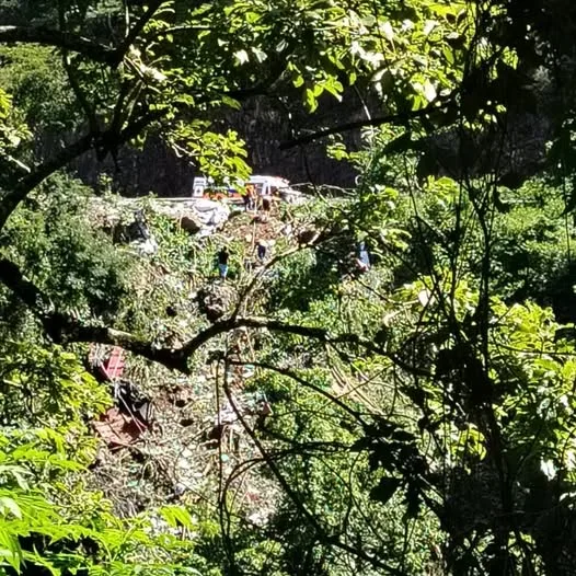 Motorista de caminhão morre ao despencar de barranco na ERS-122, em Flores da Cunha