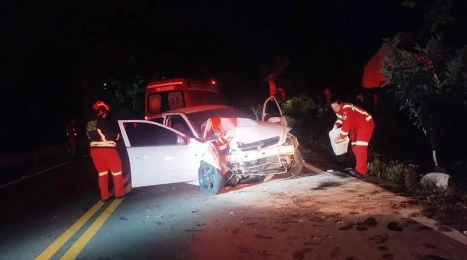 Motorista perde o controle e colide com árvore na BR-470 em Salvador do Sul