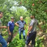 Família Vicenzi teve a propriedade bastante atingida pelo granizo