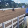 3º Rodeio Crioulo Internacional de Gramado ocorre em fevereiro