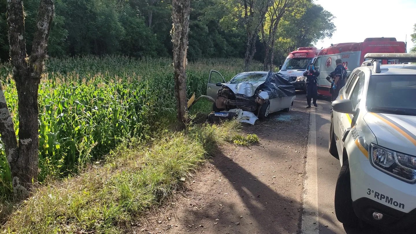 Motorista perdeu controle da direção e veículo se chocou contra uma árvore às margens da rodovia. (Foto: Reprodução/Redes Sociais)