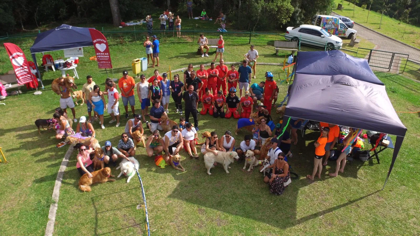 Foto: Golden Retrievers Serra Gaúcha/Divulgação