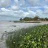 Litoral Norte do RS: Todos os pontos recebem sinal verde para banho