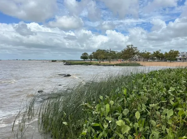 Litoral Norte do RS: Todos os pontos recebem sinal verde para banho