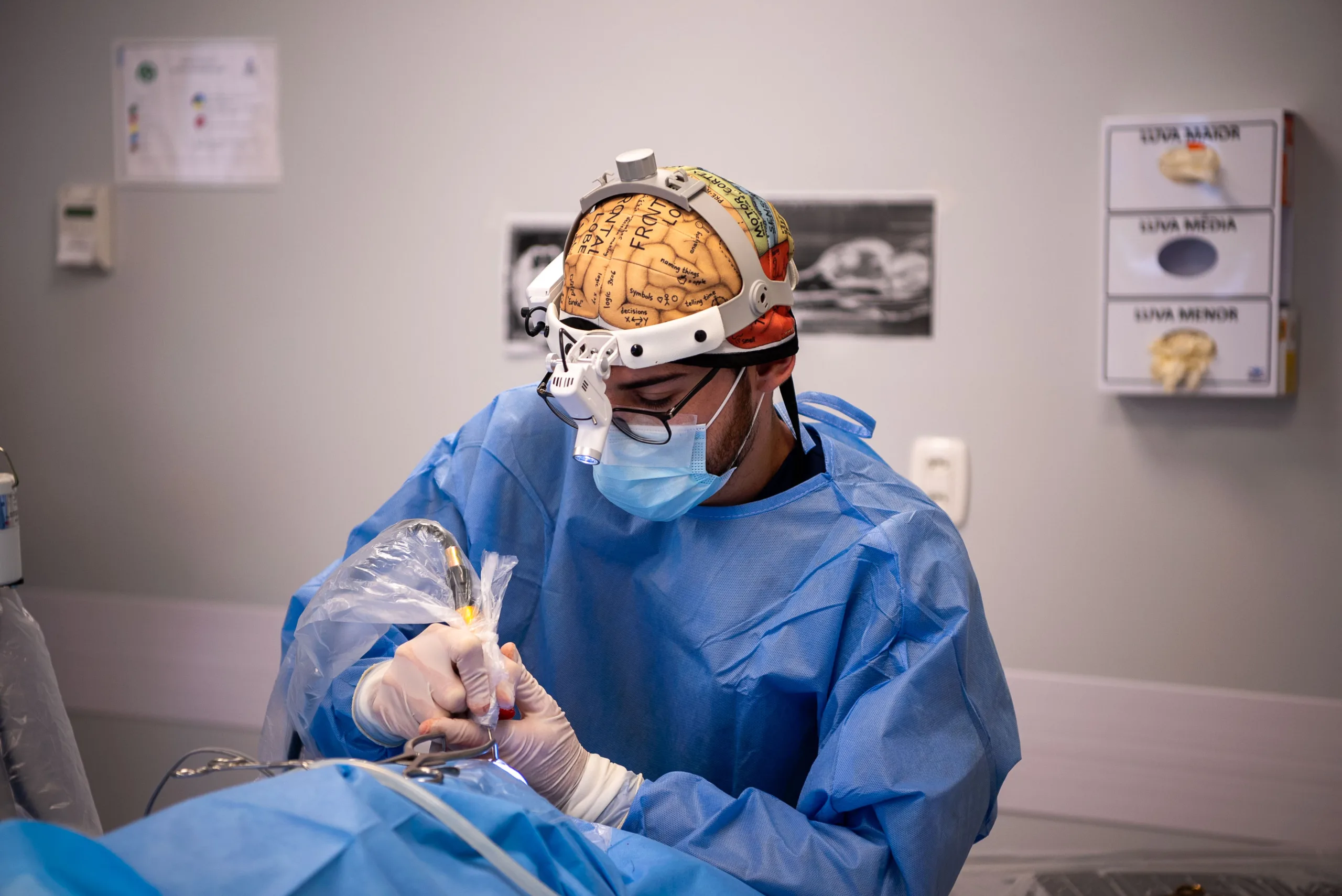 IHVET da UCS realiza pela primeira vez cirurgia para retirada de tumor encefálico animal. Foto: Bruno Zulian/Divulgação

