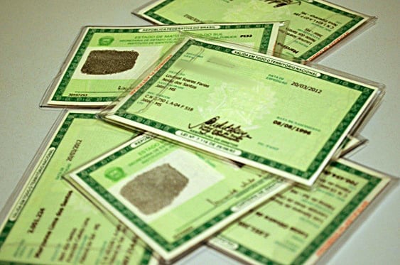 FARROUPILHA