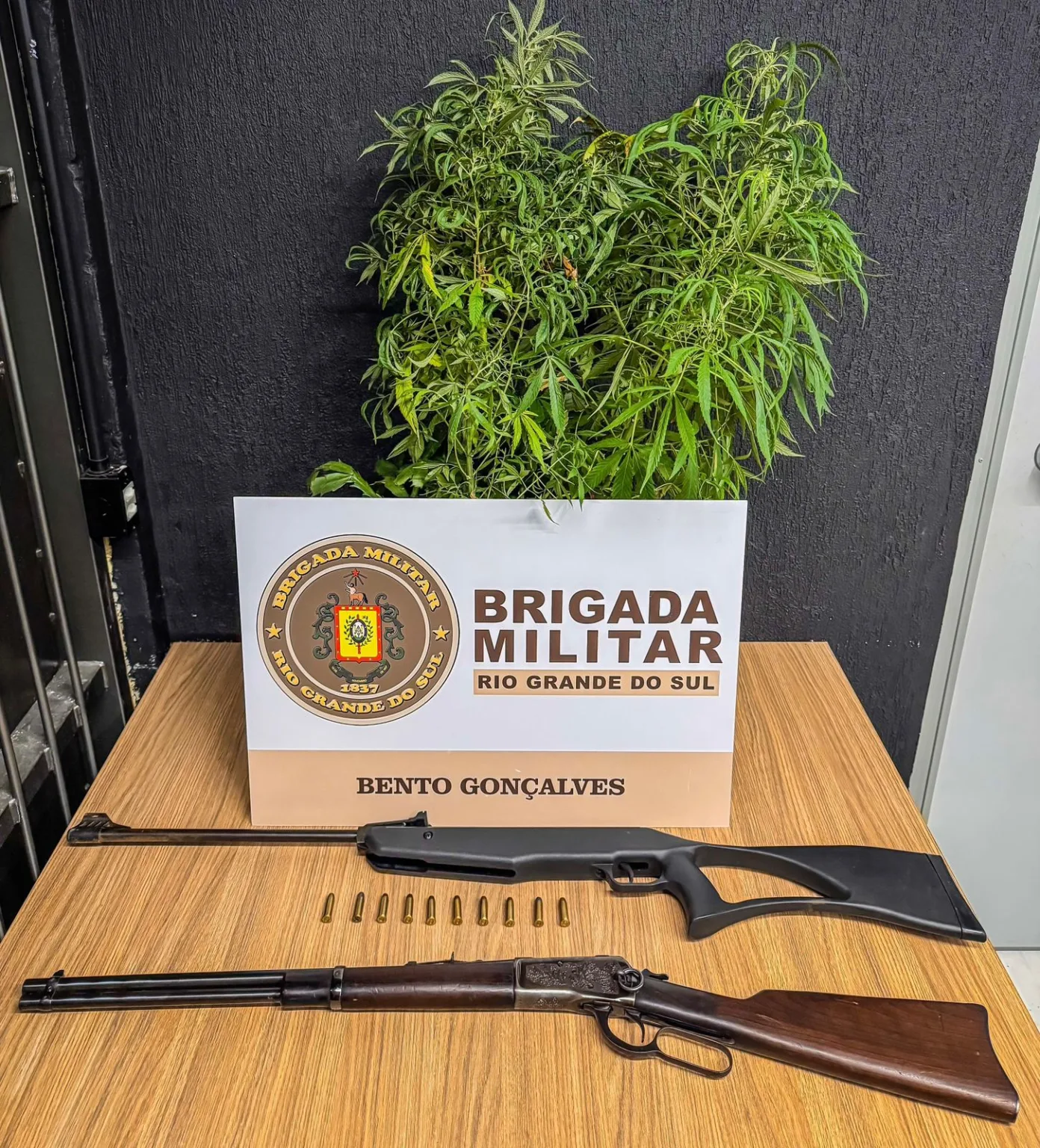 Foto: 3º BPAT / Divulgação