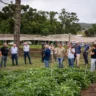 Produtores e autoridades participaram do Dia de Campo