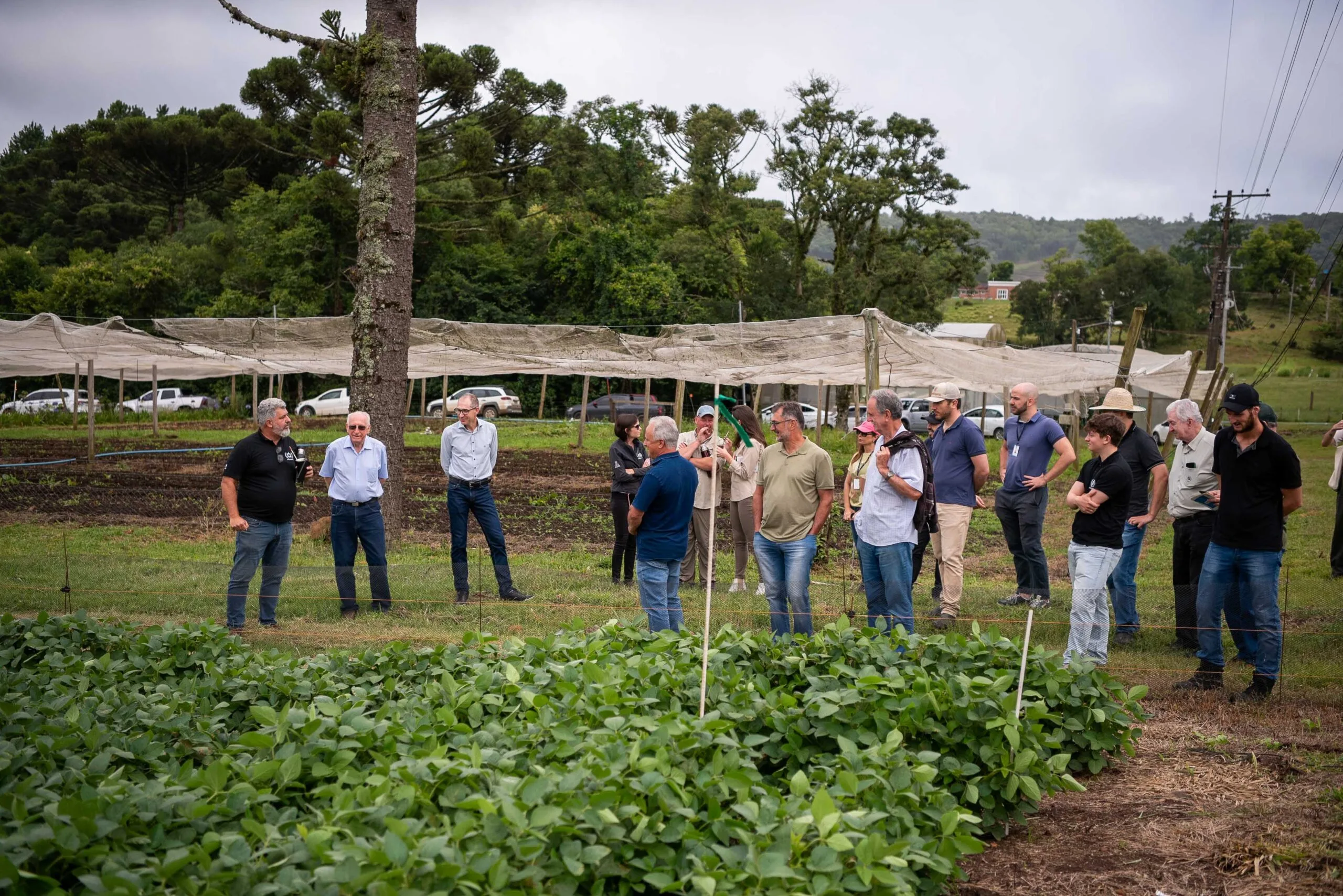 Produtores e autoridades participaram do Dia de Campo