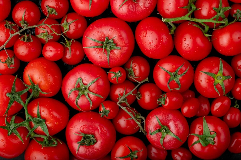 Tomate é o segredo para combater o envelhecimento precoce