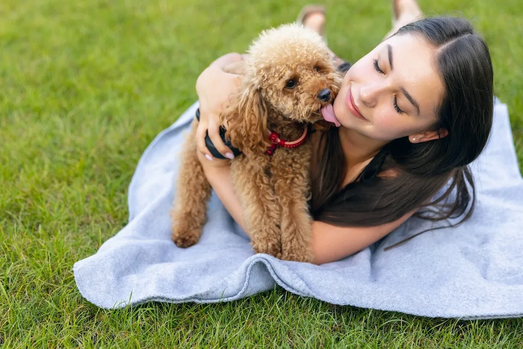 Os 3 melhores cães para quem nunca teve um pet antes