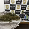 Dupla é presa por tráfico de drogas em Vacaria. Foto: Polícia Civil/Divulgação.