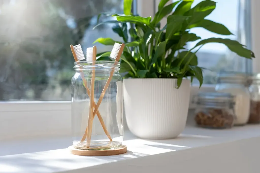 6 plantas para banheiro perfeitas para ambientes com pouca luz