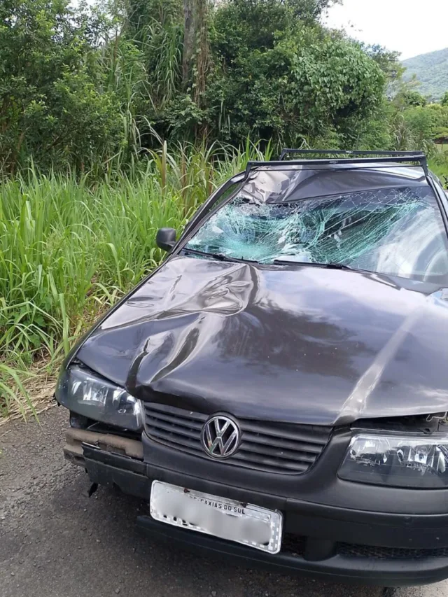 Ciclista é atropelado em Vale Real. Foto: Reprodução Redes Sociais.
