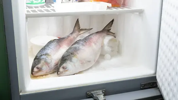 Conheça a solução caseira para tirar cheiro de peixe do congelador