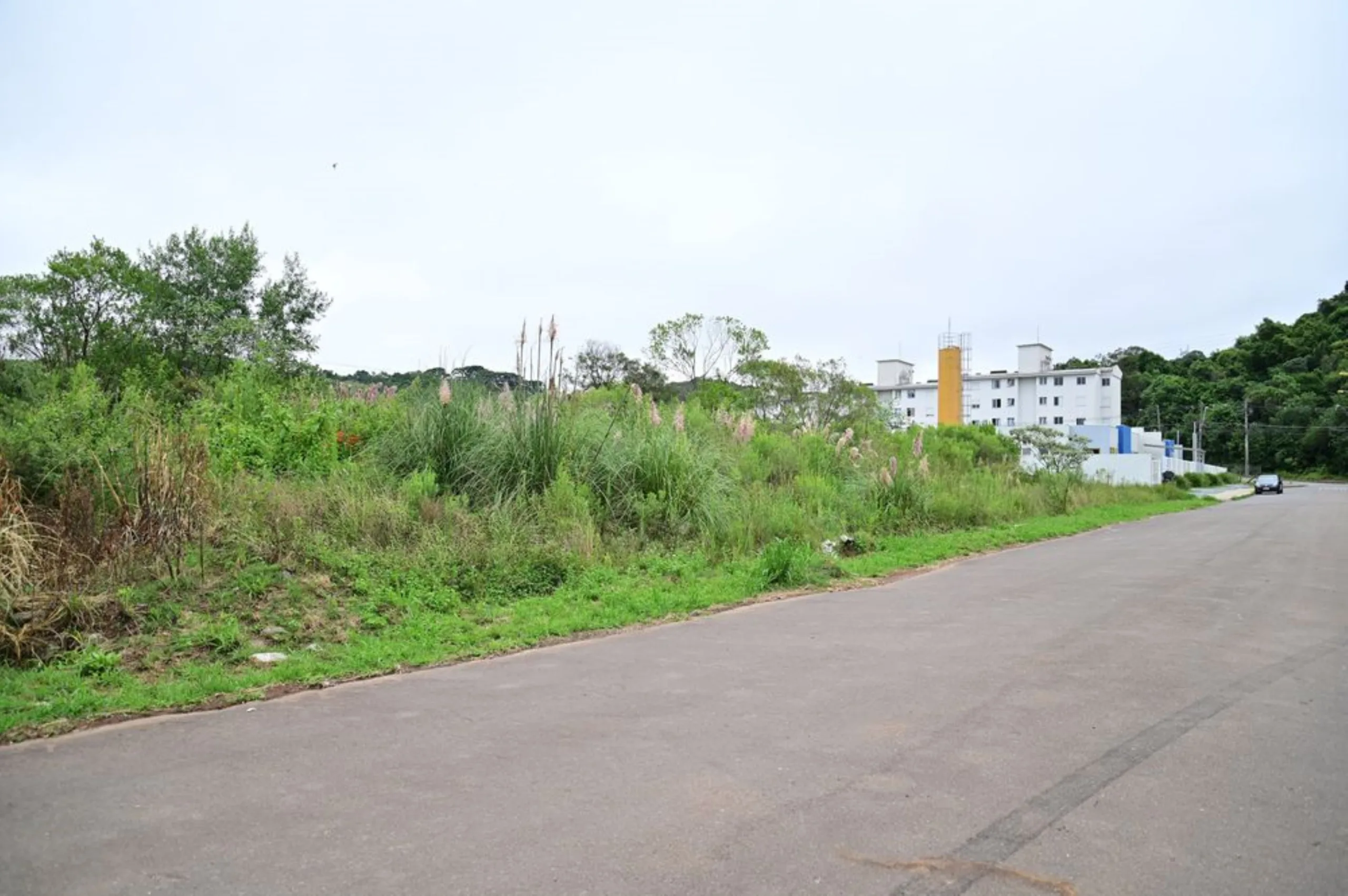 Terreno onde será construída a escola. Foto: Ícaro de Campos/ Divulgação