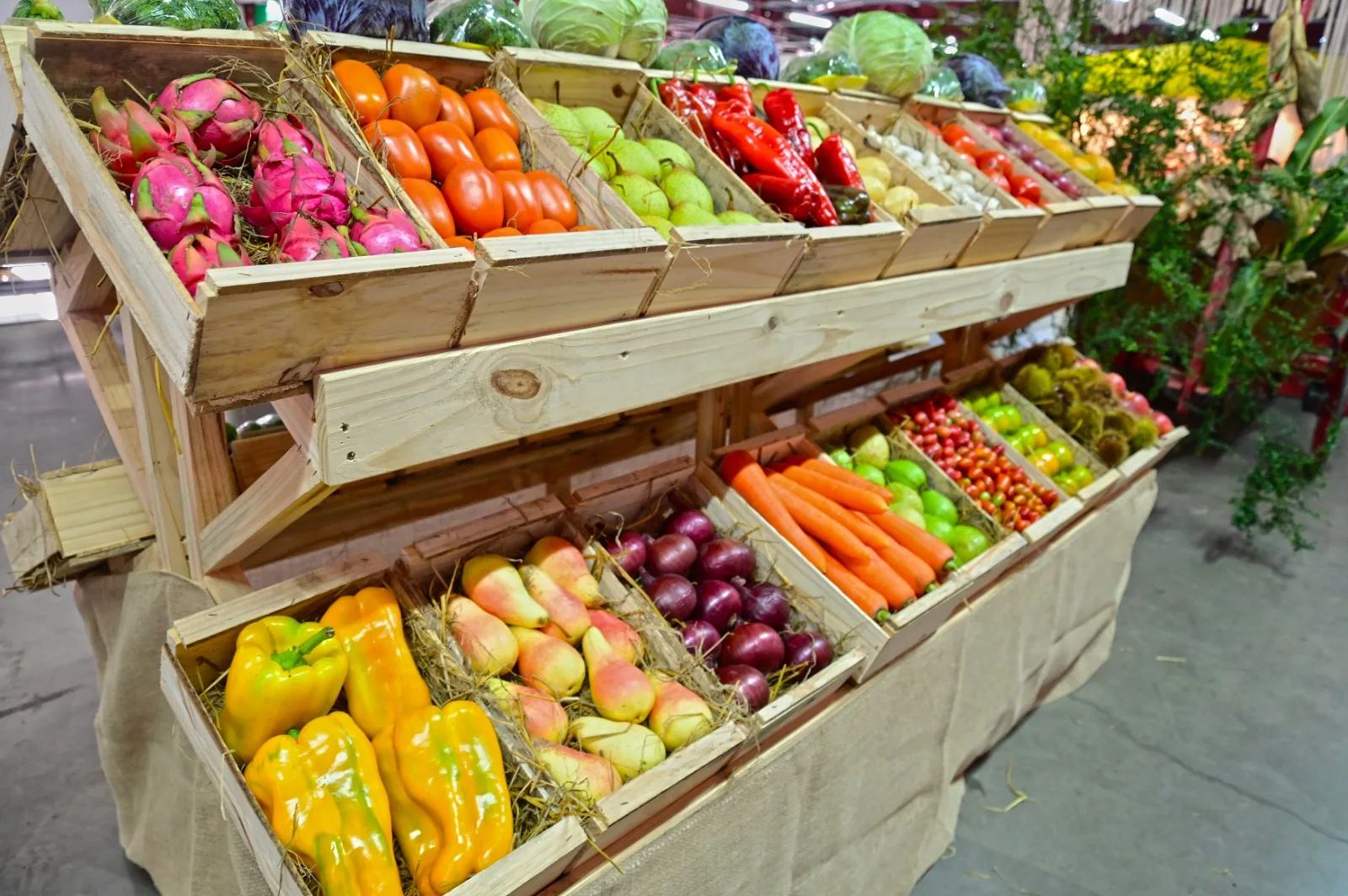 Serão trabalhadas oportunidades, desafios e mecanismos para ampliar a produção e oferta de alimentos agroecológicos. (Foto: Ícaro de Campos/Divulgação)