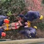 Foto: Corpo de Bombeiros/Divulgação