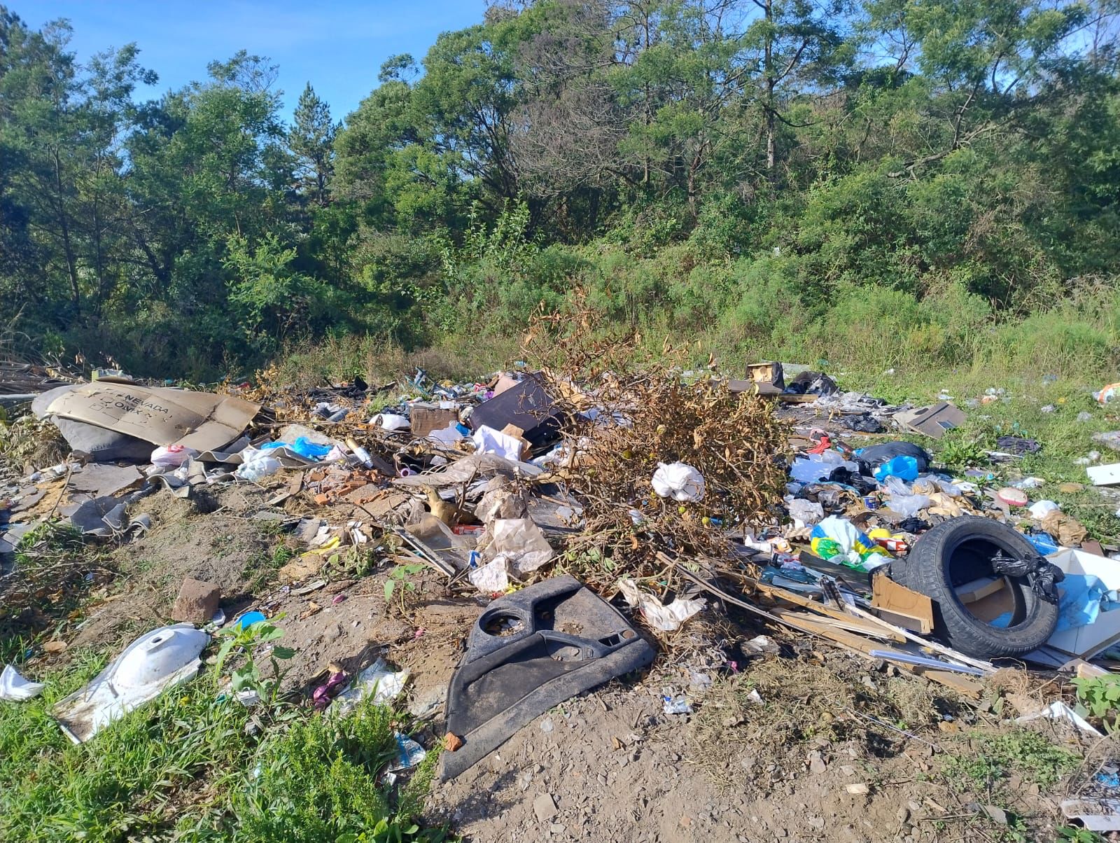 FARROUPILHA