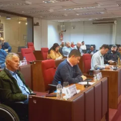 concessão de título