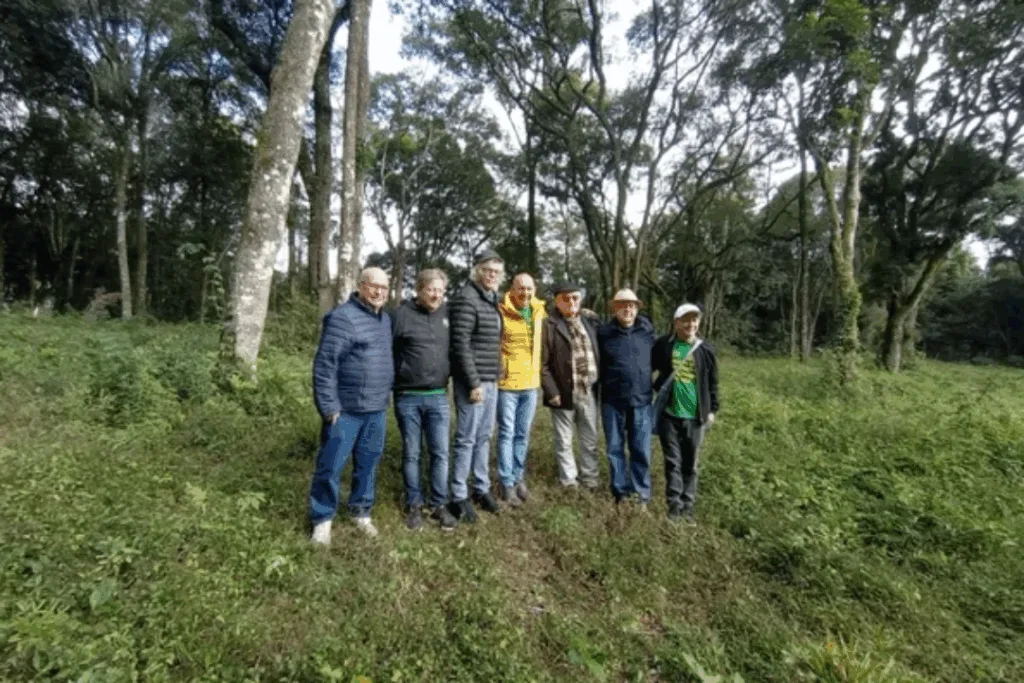 Havan mira Garibaldi: nova loja pode chegar à Serra Gaúcha ainda em 2025