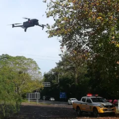 FARROUPILHA