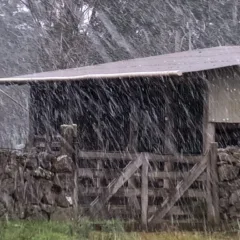 NEVE SÃO JOSÉ DOS AUSENTES
