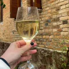 Caxias in Vino vinho