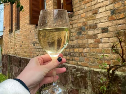 Caxias in Vino vinho