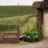Agronomia e viticultores