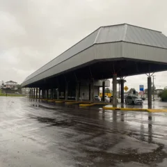FARROUPILHA