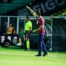 Foto: Vitor Soccol/S.E.R. Caxias