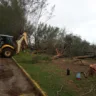Prefeito de Arroio do Sal suspende remoção de árvores casuarinas e busca solução com o MP