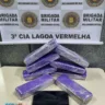 entorpecente prisão tijolo maconha lagoa vermelha