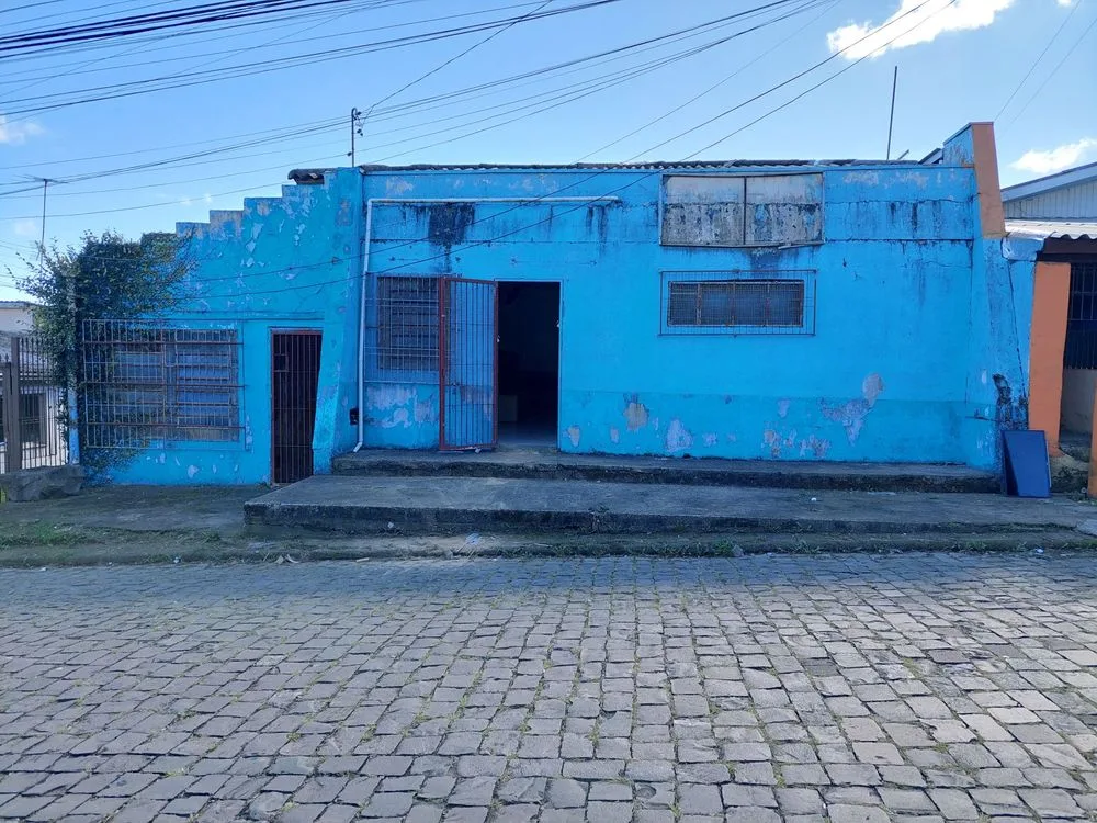 Foto: Vânia Cassol
