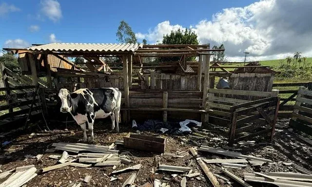 Foto: Defesa Civil de Erval Grande / Reprodução