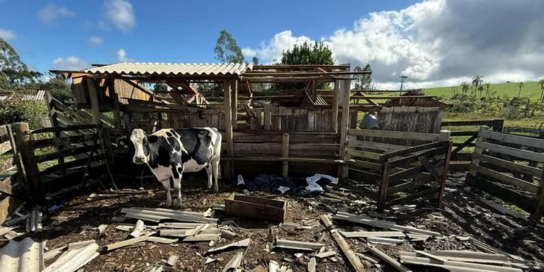 Foto: Defesa Civil de Erval Grande / Reprodução